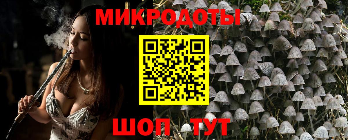 Псилоцибиновые грибы GOLDEN TEACHER Гай