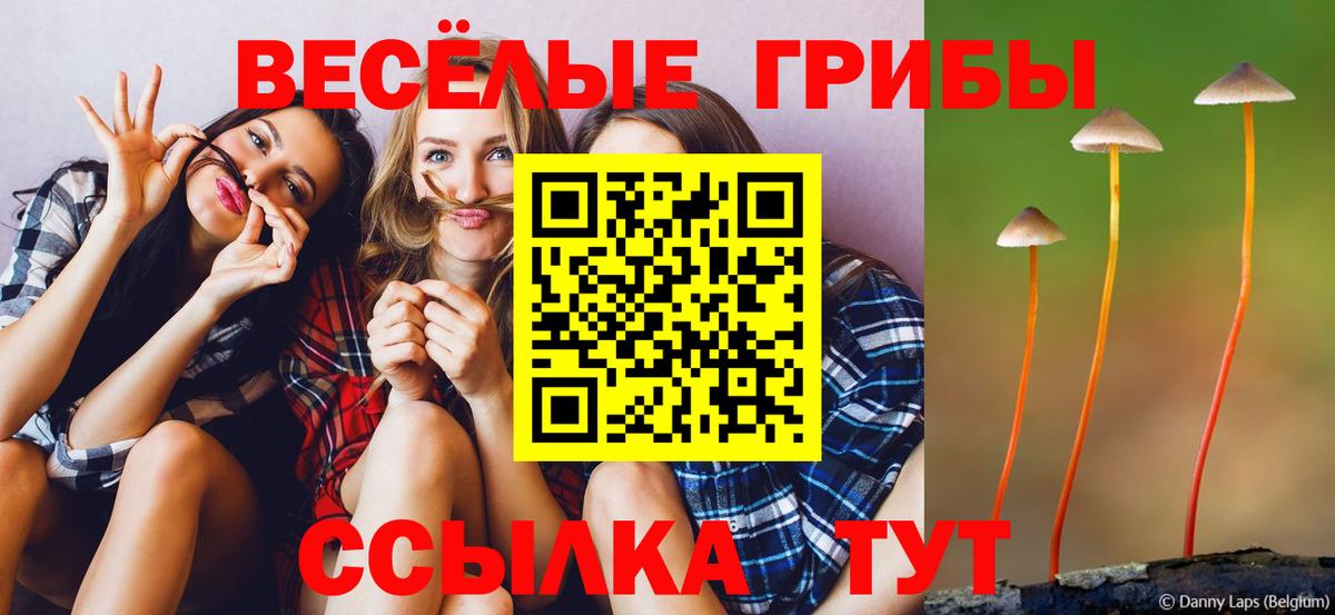 Галлюциногенные грибы мухоморы  Псилоцибиновые грибы мухоморы  Вход с VPN  Гай 
